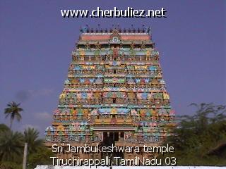 légende: Sri Jambukeshwara temple Tiruchirappalli TamilNadu 03
qualityCode=raw
sizeCode=half

Données de l'image originale:
Taille originale: 107450 bytes
Heure de prise de vue: 2002:03:07 12:19:50
Largeur: 640
Hauteur: 480
